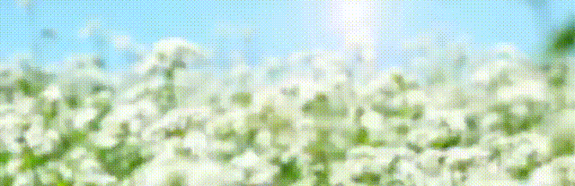 奥运游泳接力奖牌规则_2021奥运游泳接力比赛视频_游泳接力奥运金牌